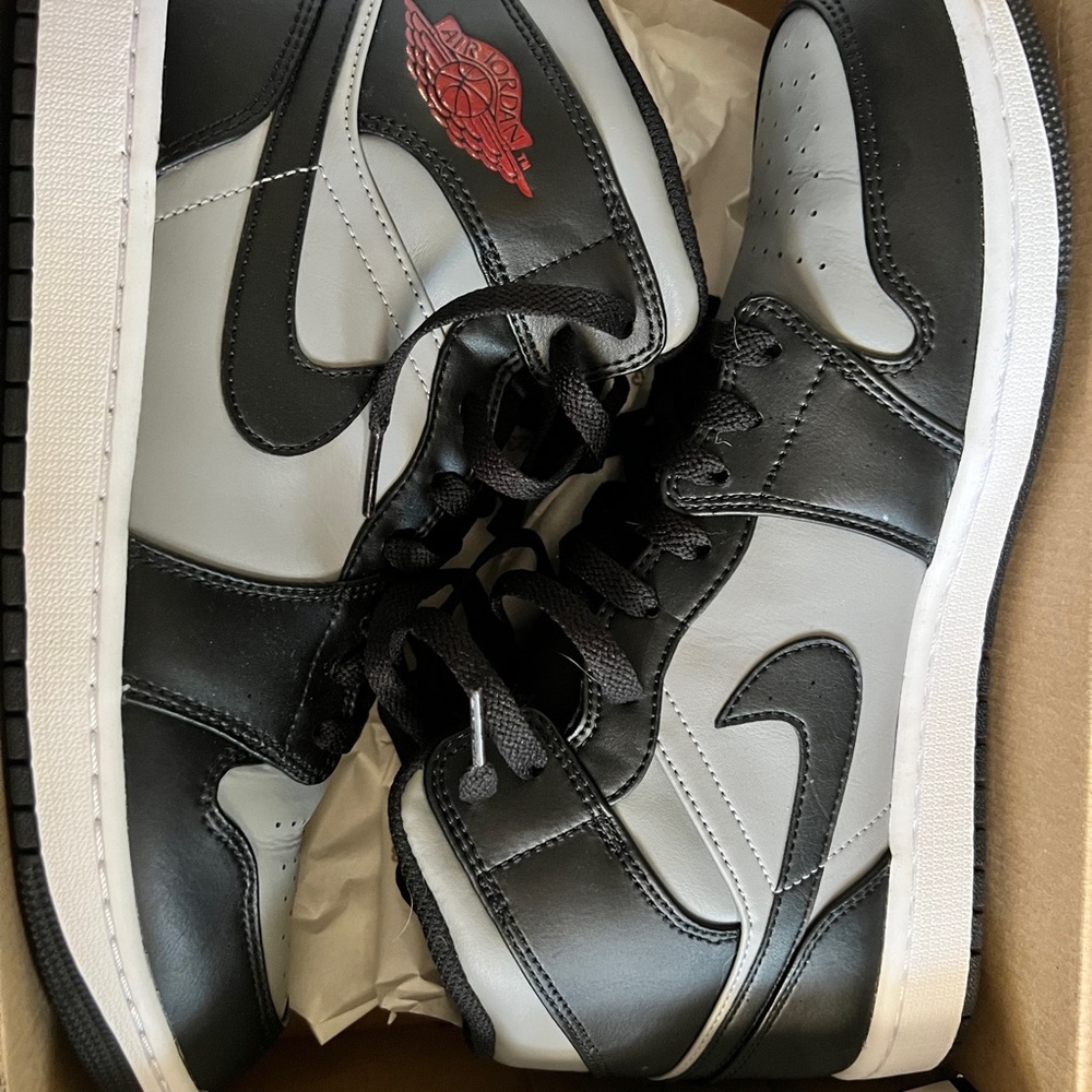 Air Jordan 1 mid shadow